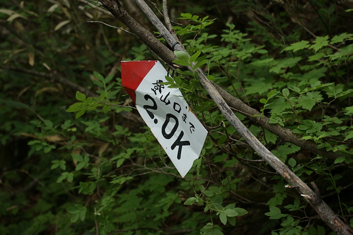 武華山　（東尾根コース～ライオン岩コース） _a0270291_20234861.jpg