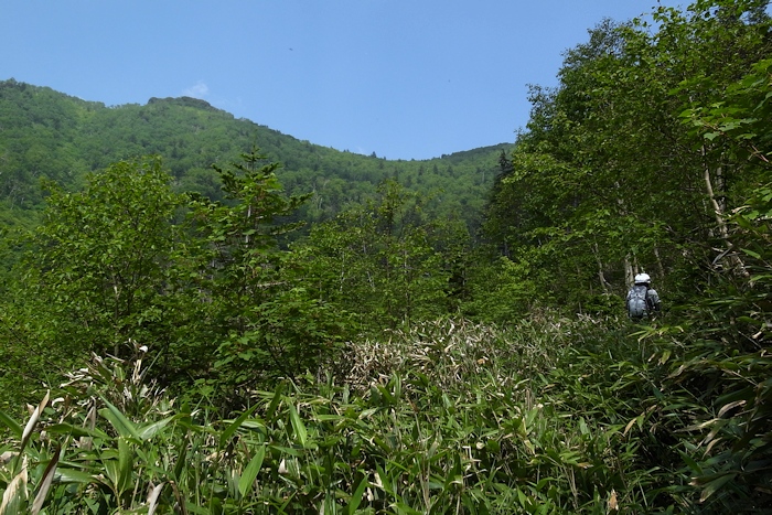 武華山　（東尾根コース～ライオン岩コース） _a0270291_2063952.jpg