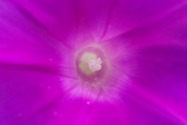 e0376691_21583910.jpg