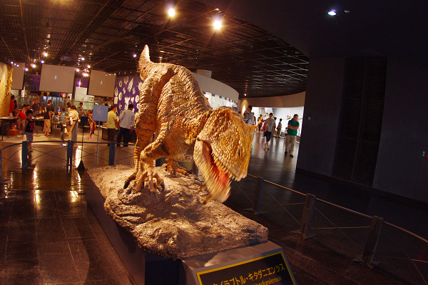 恐竜博物館_e0376691_22054236.jpg