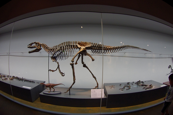 e0376691_22054359.jpg