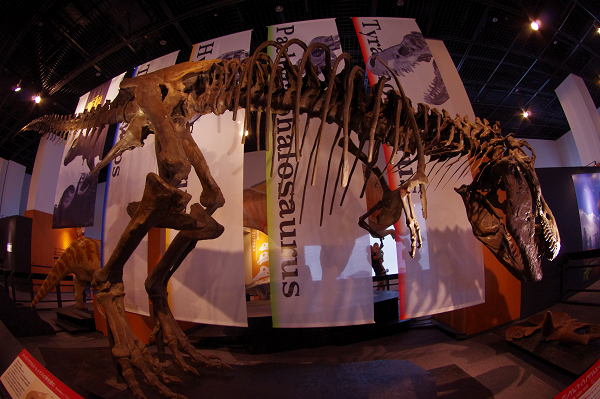 e0376691_22054596.jpg
