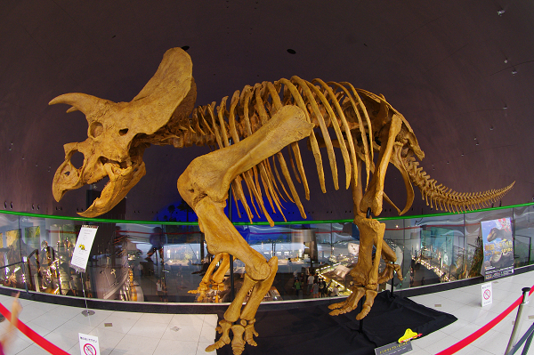 e0376691_22054746.jpg