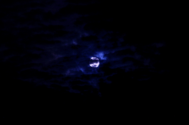 e0376691_22172106.jpg
