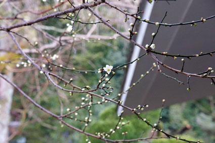 b0145296_21207100.jpg