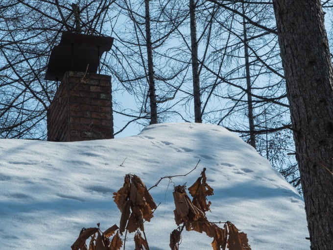 春近づく陽気に・・雪どけが進みます。屋根にエゾリス君の足あと?_f0276498_16551412.jpg