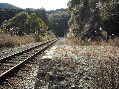 f0308898_07401033.jpg