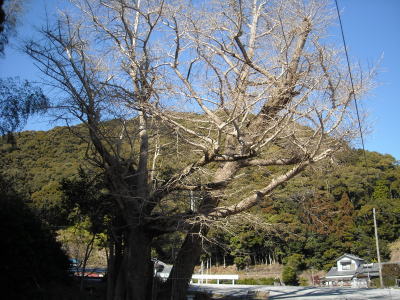f0308898_08344826.jpg