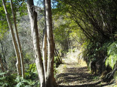 f0308898_08364706.jpg