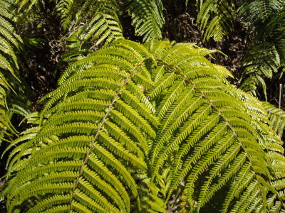 f0308898_08370585.jpg