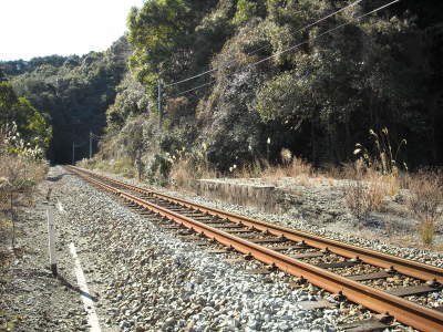 f0308898_08372141.jpg