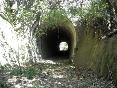 f0308898_08413263.jpg