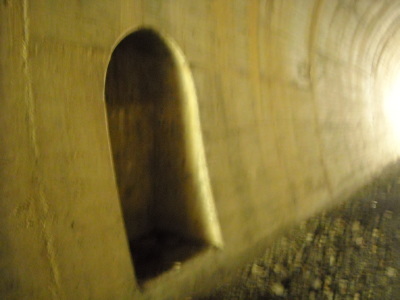 f0308898_08422980.jpg