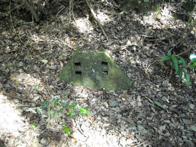 f0308898_08431325.jpg