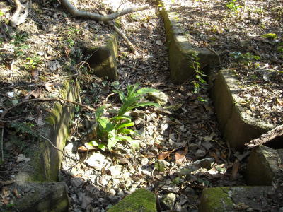 f0308898_08435438.jpg