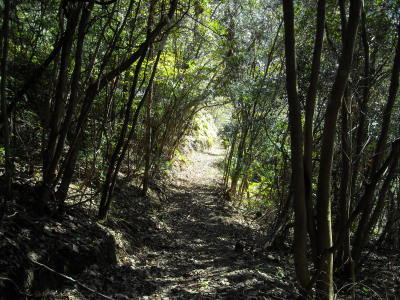 f0308898_08445713.jpg
