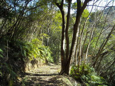 f0308898_08452082.jpg