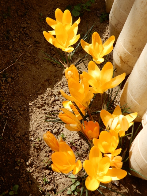 e0025300_21405099.jpg