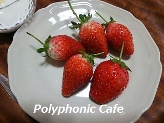 綺麗ないちご_d0351801_15514602.jpg