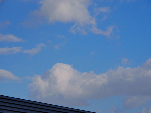 e0366902_204826.jpg