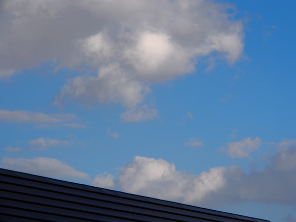 e0366902_2051772.jpg