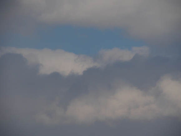 e0366902_2055541.jpg