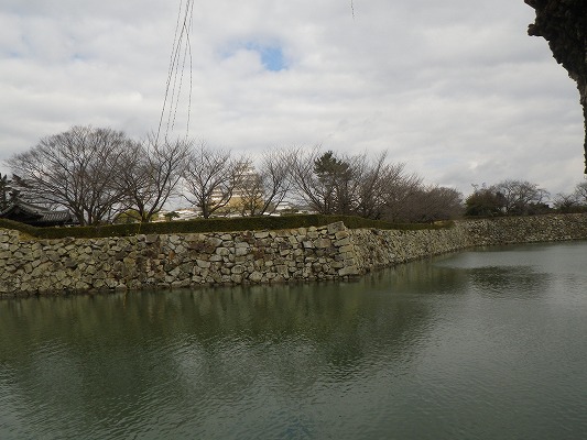 f0187402_18551978.jpg