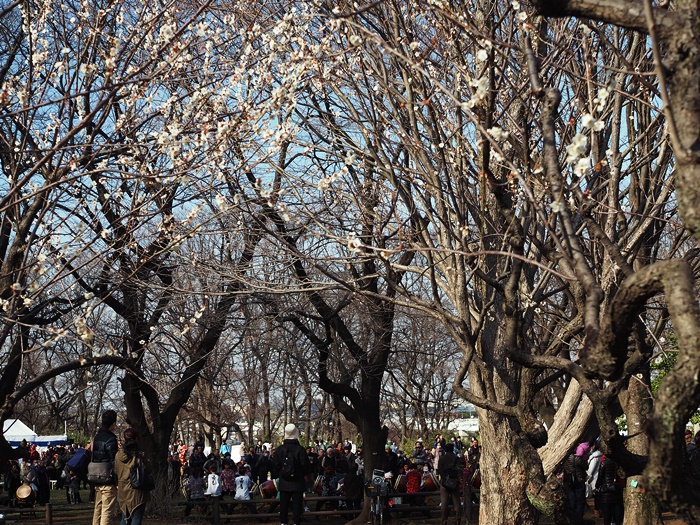 c0187503_2111412.jpg