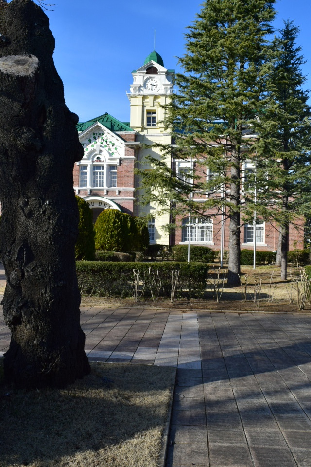 茨城県牛久市のシャトーカミヤ(明治モダン建築探訪)_f0142606_01585150.jpg