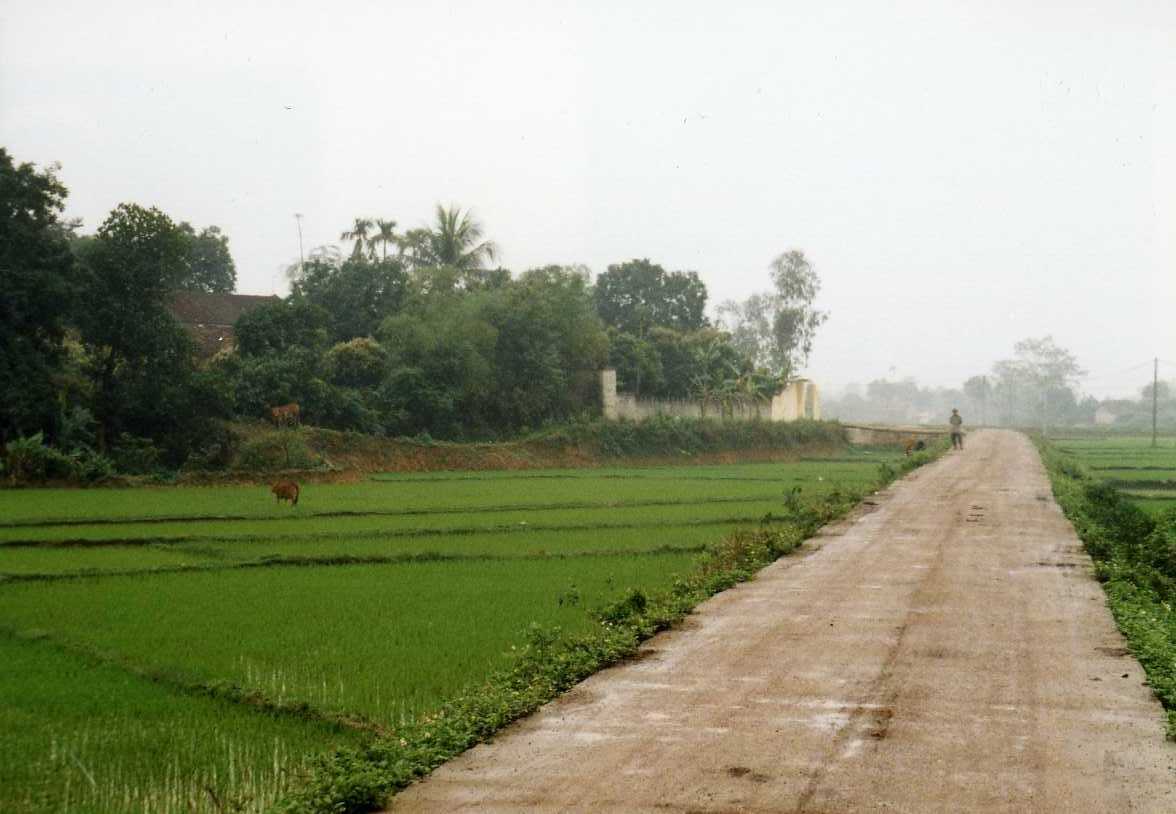 a0153209_01120930.jpg