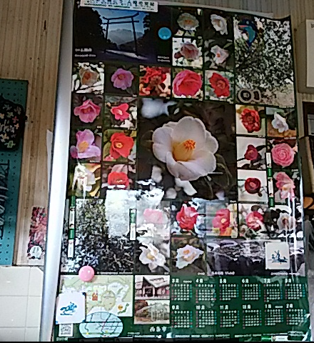 f0231709_20271625.png