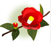 f0231709_20343415.png