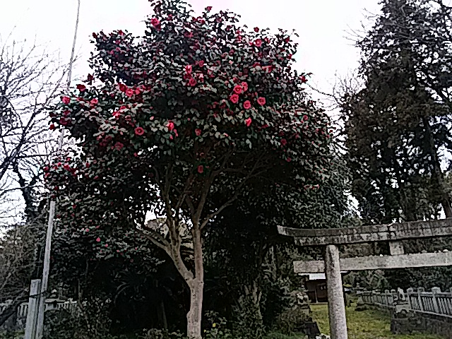 f0231709_7133412.jpg