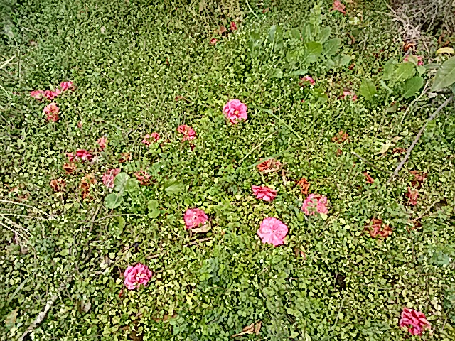 f0231709_7152690.jpg