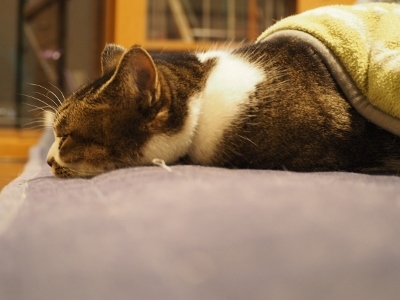 b0042310_13551765.jpg