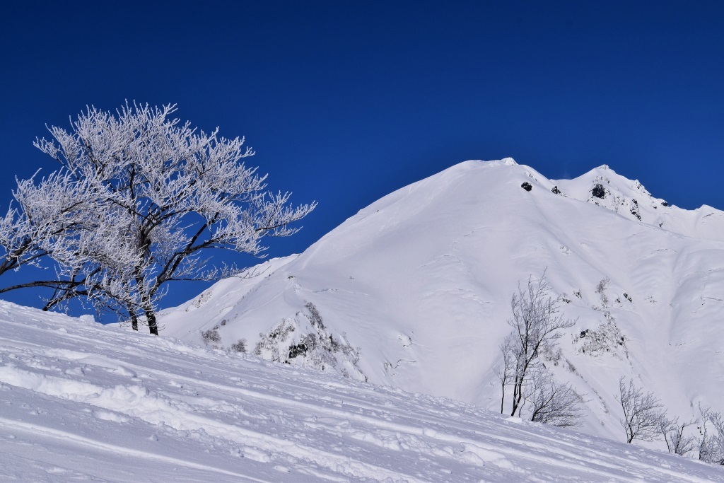 2017/2/28 谷川岳_a0340812_08505045.jpg