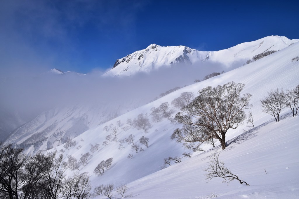 2017/2/28 谷川岳_a0340812_08512260.jpg