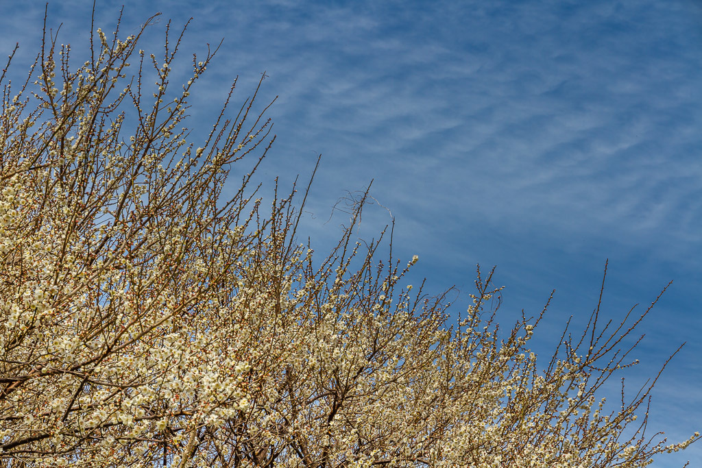 b0010915_17120120.jpg