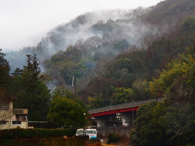 a0087818_19372368.jpg