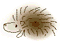 f0031722_1227885.gif