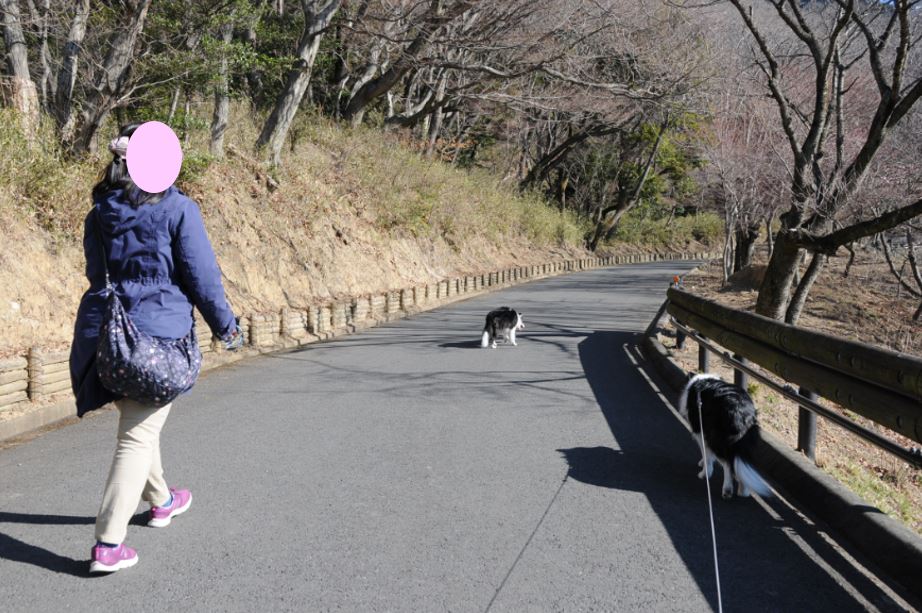 筑波山梅まつり♪_c0147241_18365789.jpg