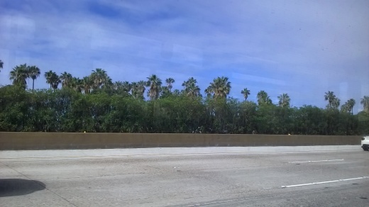 e0351841_16133176.jpg