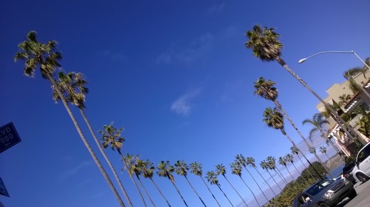 e0351841_17044733.jpg