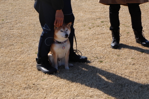 マンデー柴会④_f0245650_09513242.jpg