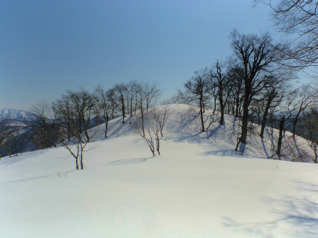 小黒見山（福井県大野市_b0234354_17204164.jpg