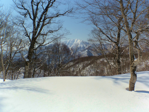 小黒見山（福井県大野市_b0234354_17214069.jpg