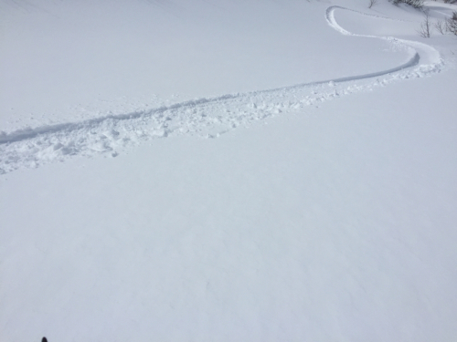 c0164354_02212046.jpg