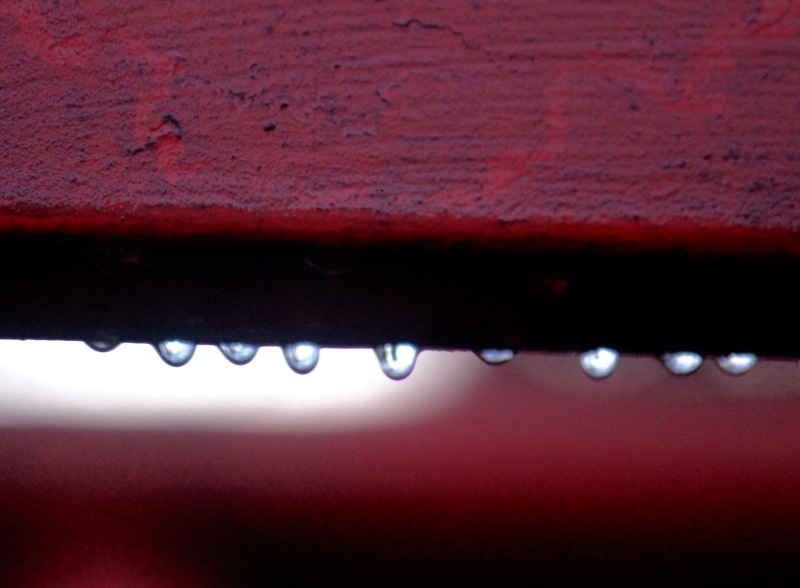 a0248459_06264121.jpg