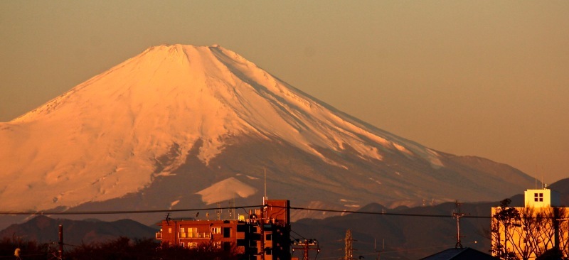 a0248459_14273660.jpg