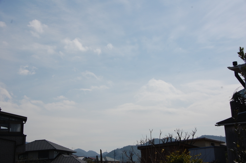 c0108460_20162302.jpg